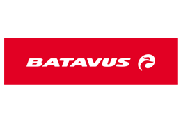 Batavus website